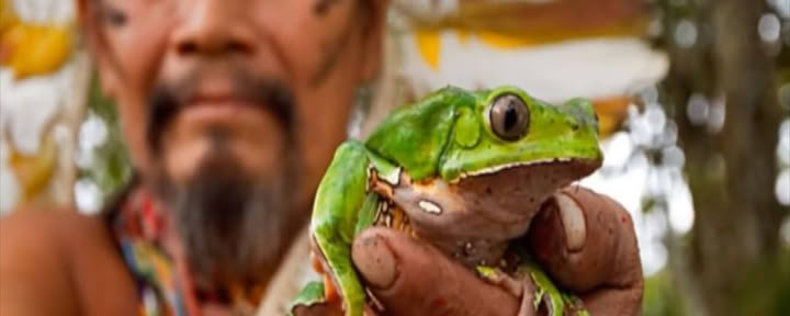 Cérémonie de Kambô