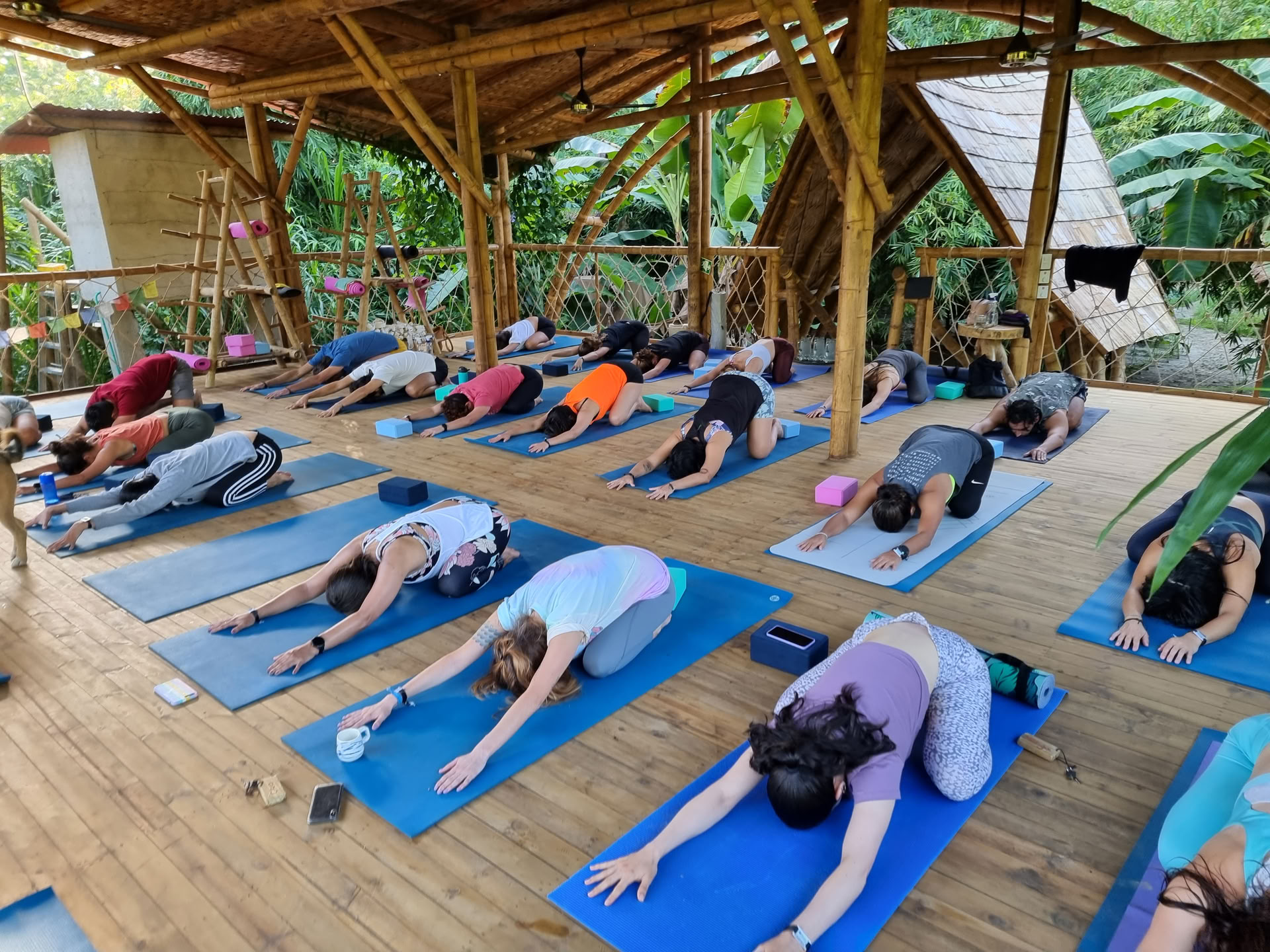 Formation de professeur de yoga 200h