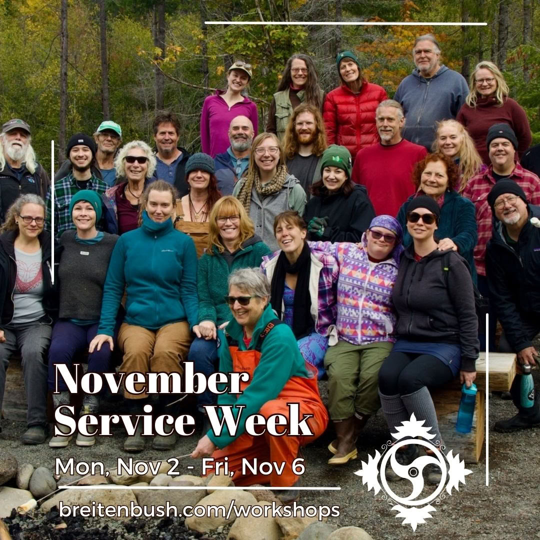 Semaine de service de novembre