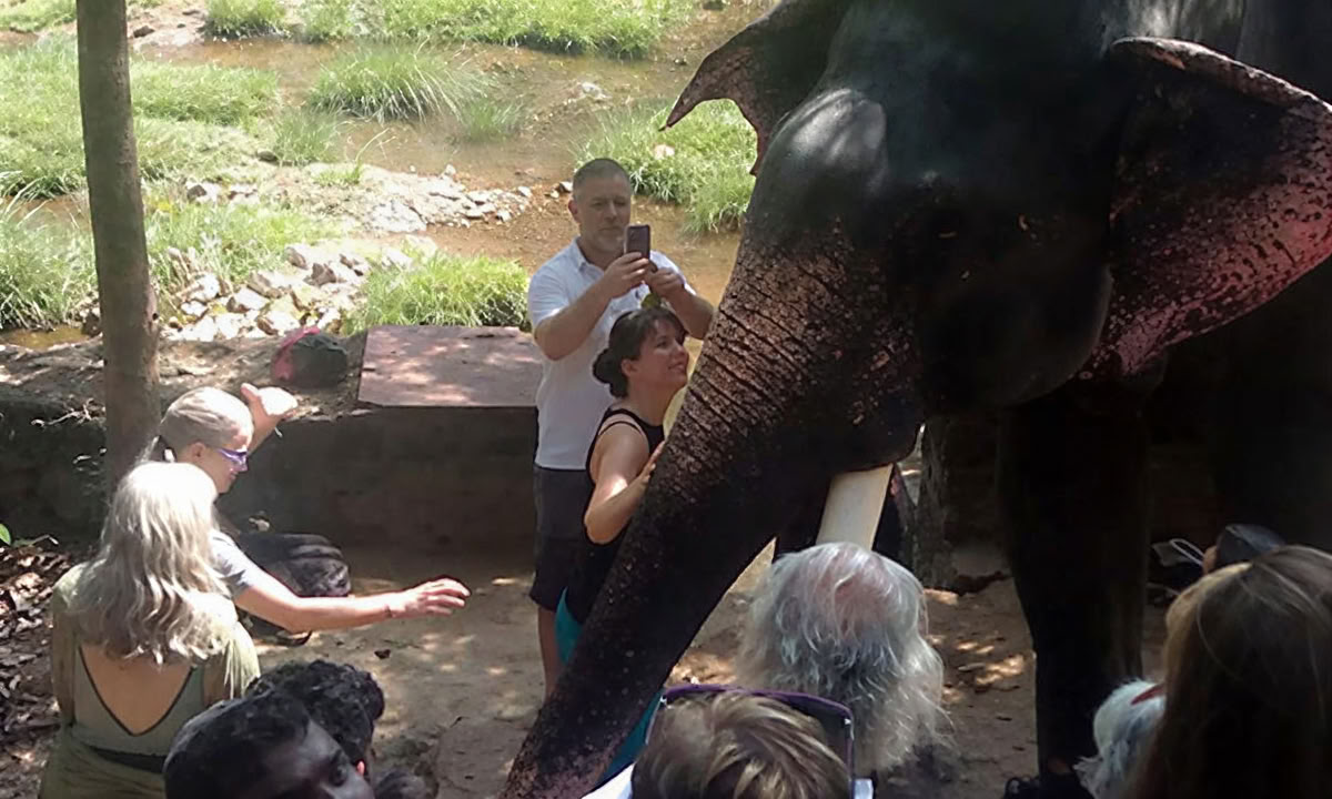 TRAITEMENT PANCHAKARMA DE 28 JOURS AU KERALA
