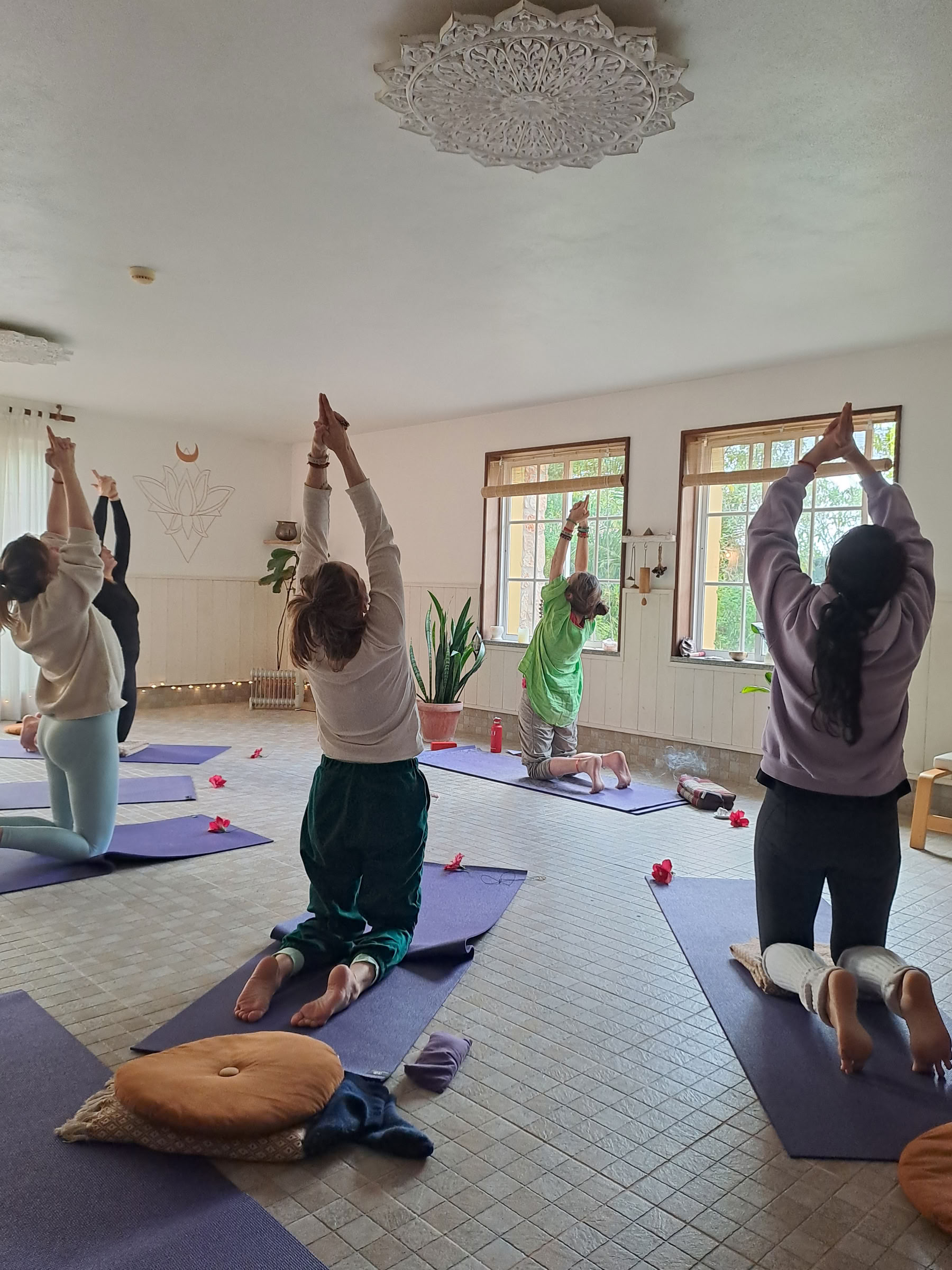 Formation de professeur de yoga transformationnel 200 h