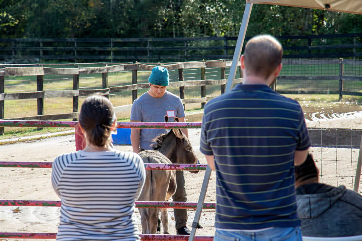 Horse Harmony : Une retraite de 3 jours pour l’équilibre et le bien-être des femmes