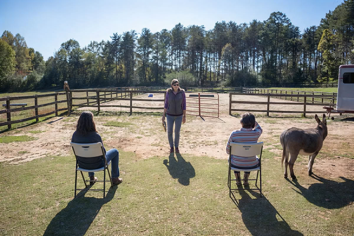 Horse Harmony : Une retraite de 3 jours pour l’équilibre et le bien-être des femmes