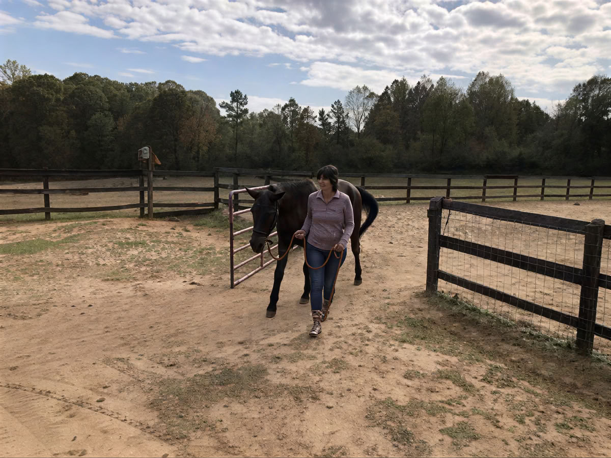 Horse Harmony : Une retraite de 3 jours pour l’équilibre et le bien-être des femmes