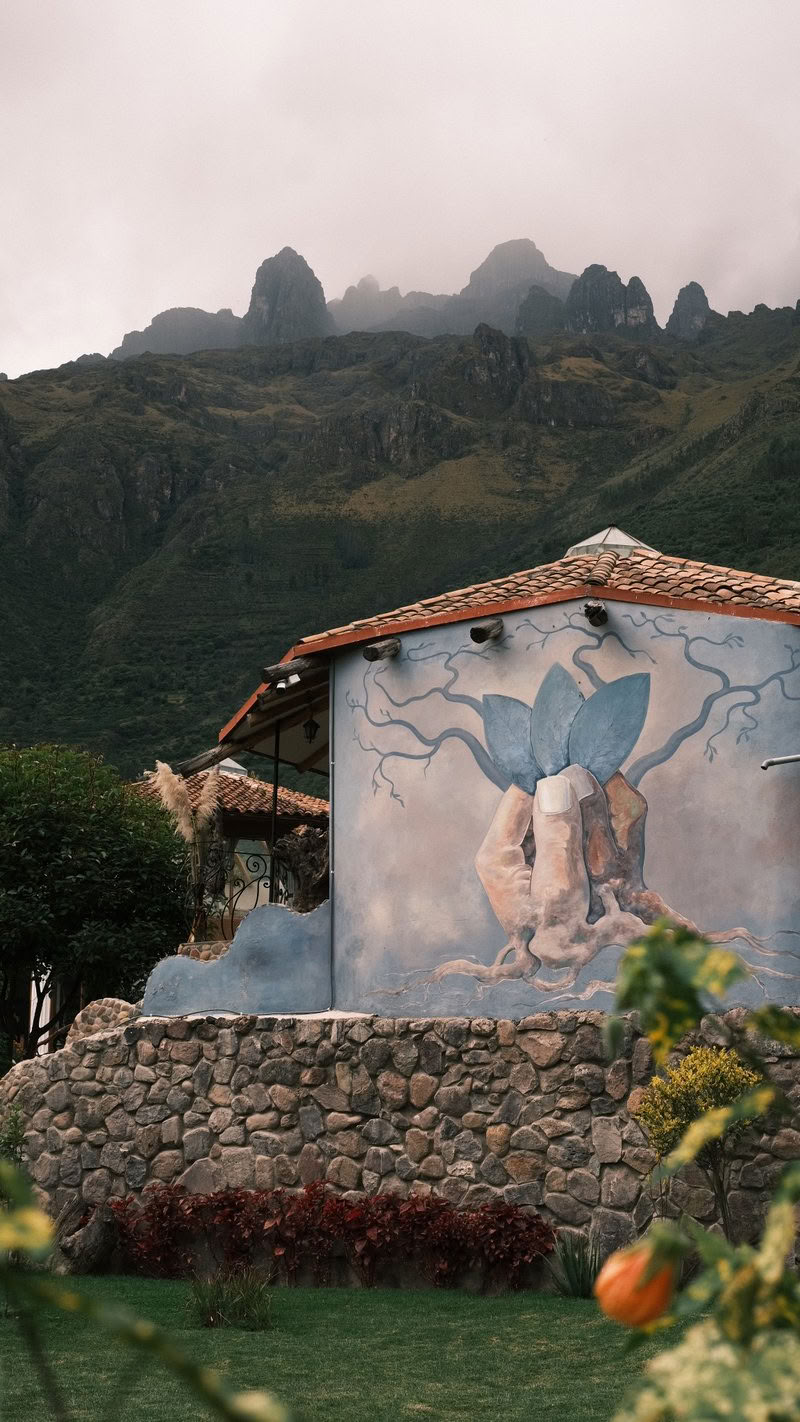 Retraite d'Ayahuasca de 9 jours