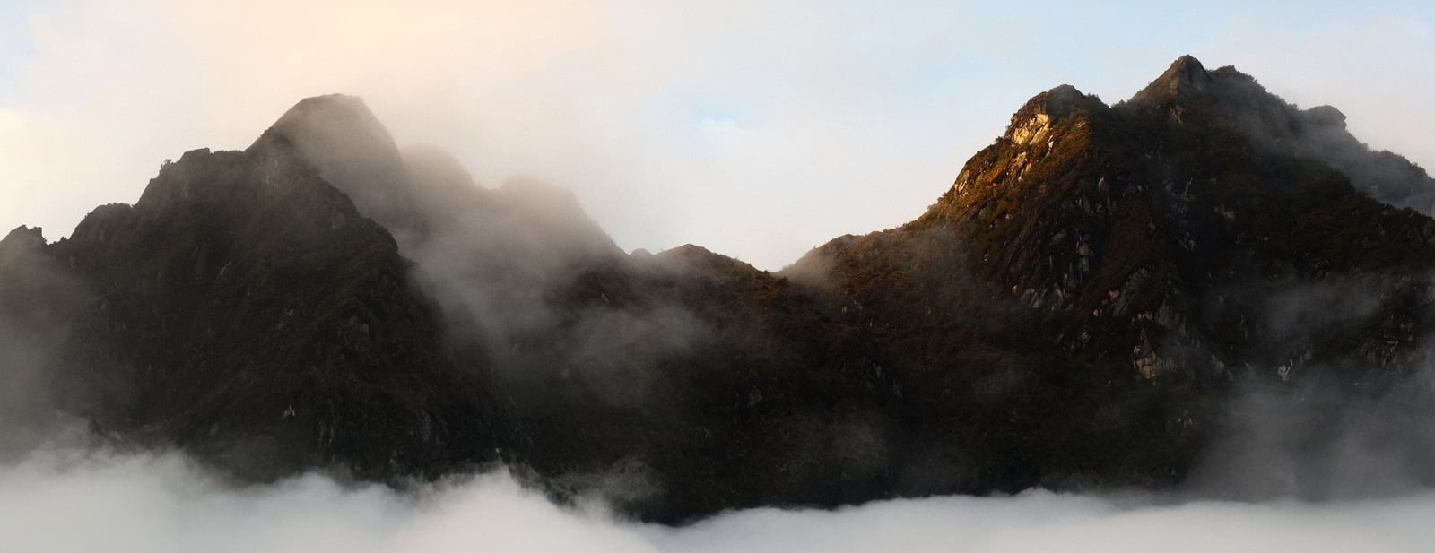Retraite d'Ayahuasca de 9 jours