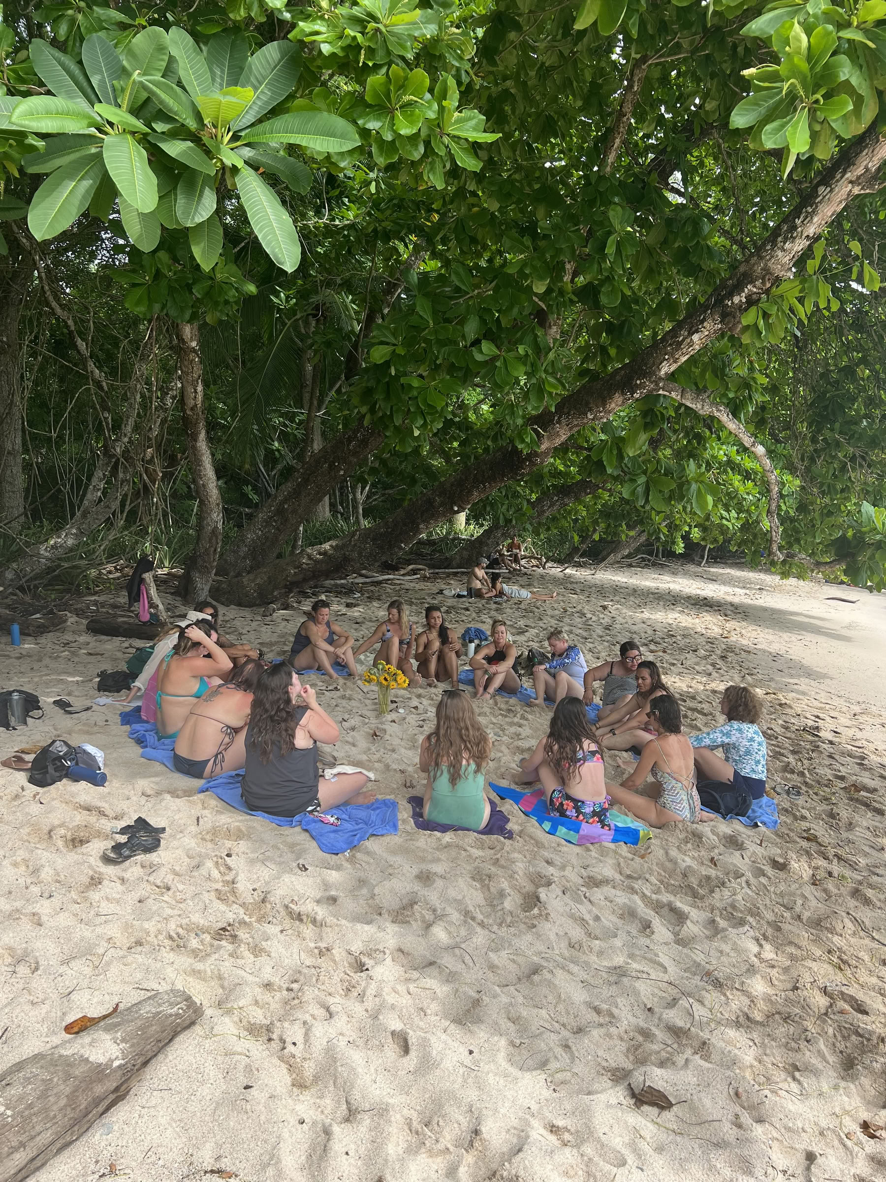 Waves of Grief Retraite Costa Rica 2026