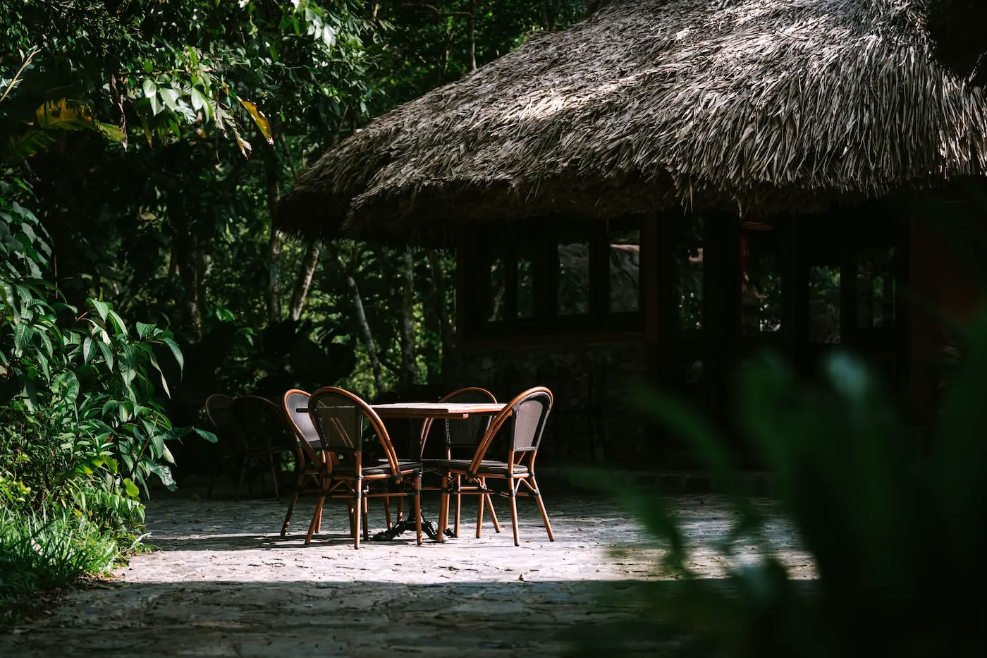 Le repas en forêt à Thong Nguyen