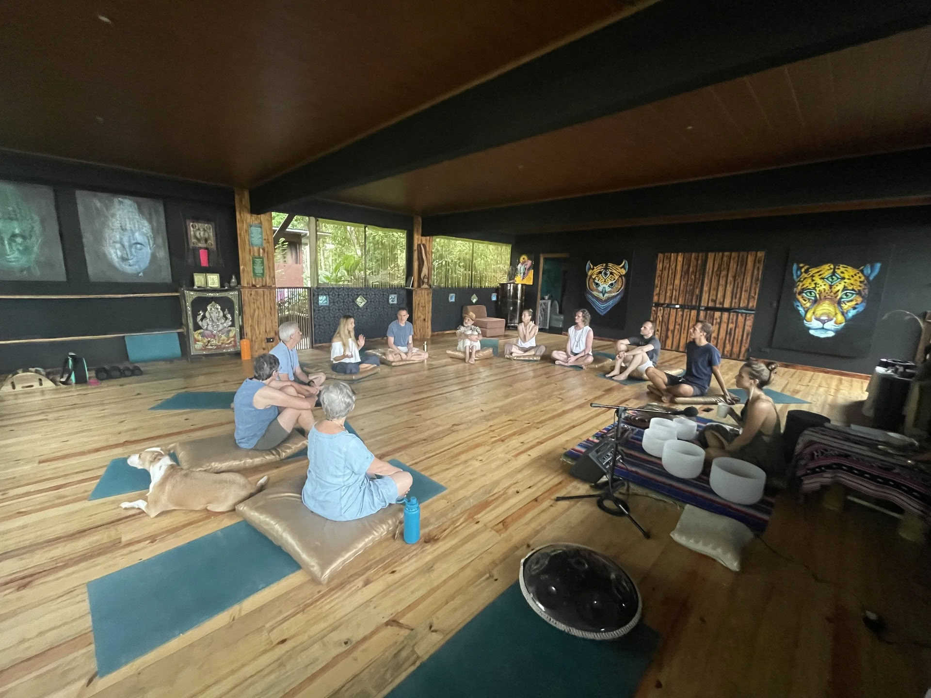 Floresta : immersion musicale de médecine de 7 jours