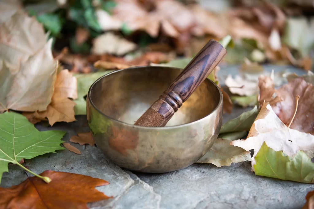 Atelier de Yin Yoga et d’acupression de printemps