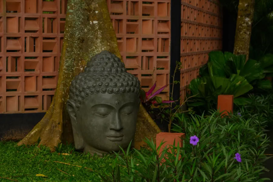 Yoga et Méditation