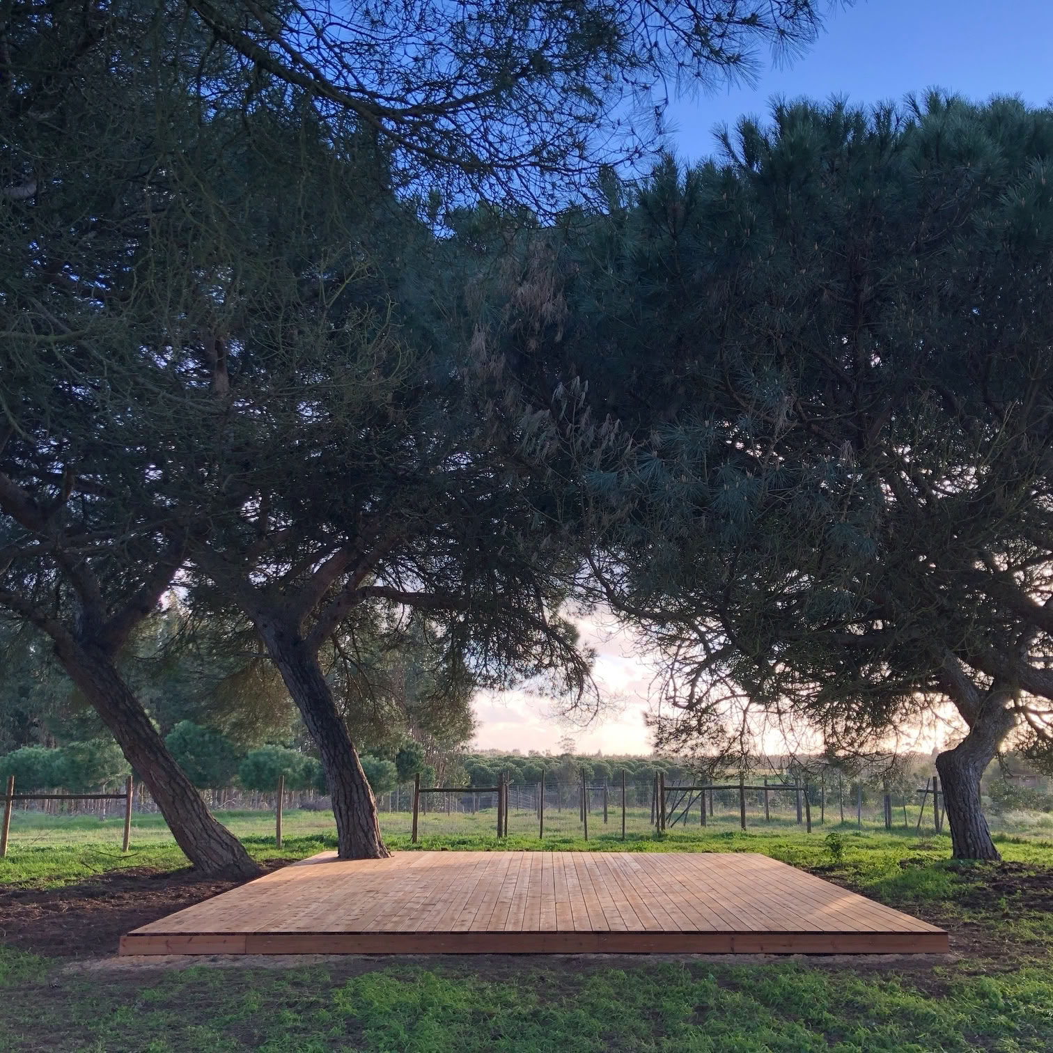 Retraite de yoga Reconnexion au Portugal