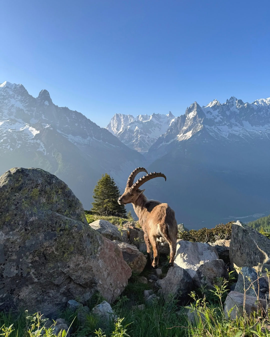 Breath & connect in Chamonix