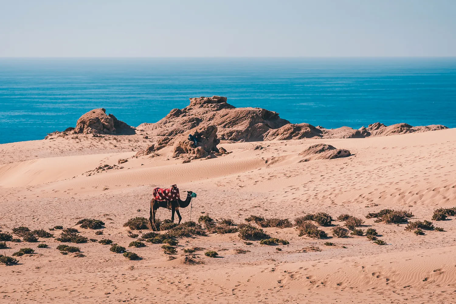 Retraite de 7 jours de yoga, méditation et surf au Maroc