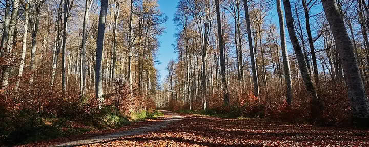 Retraite de méditation et de yoga : l’escapade douillette de novembre