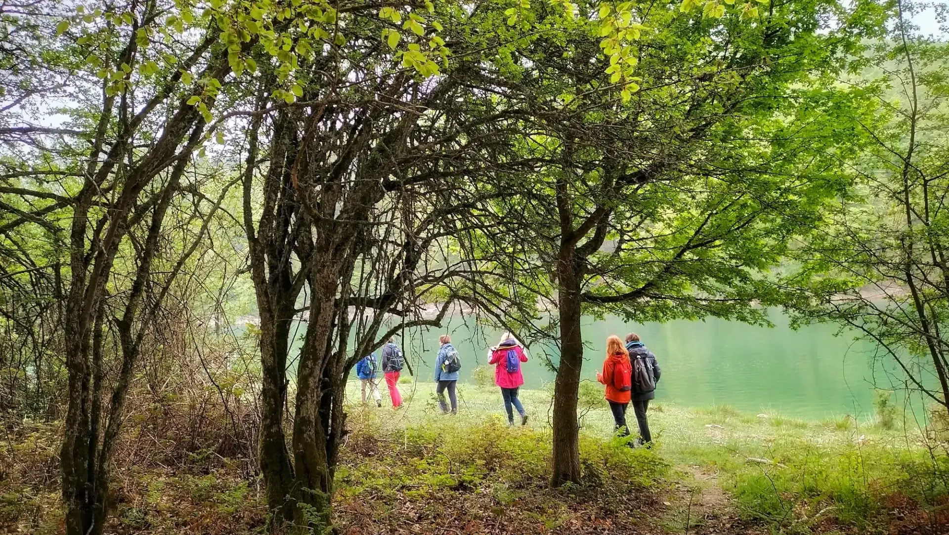 Bain de forêt (Shinrin Yoku) et retraite de yoga