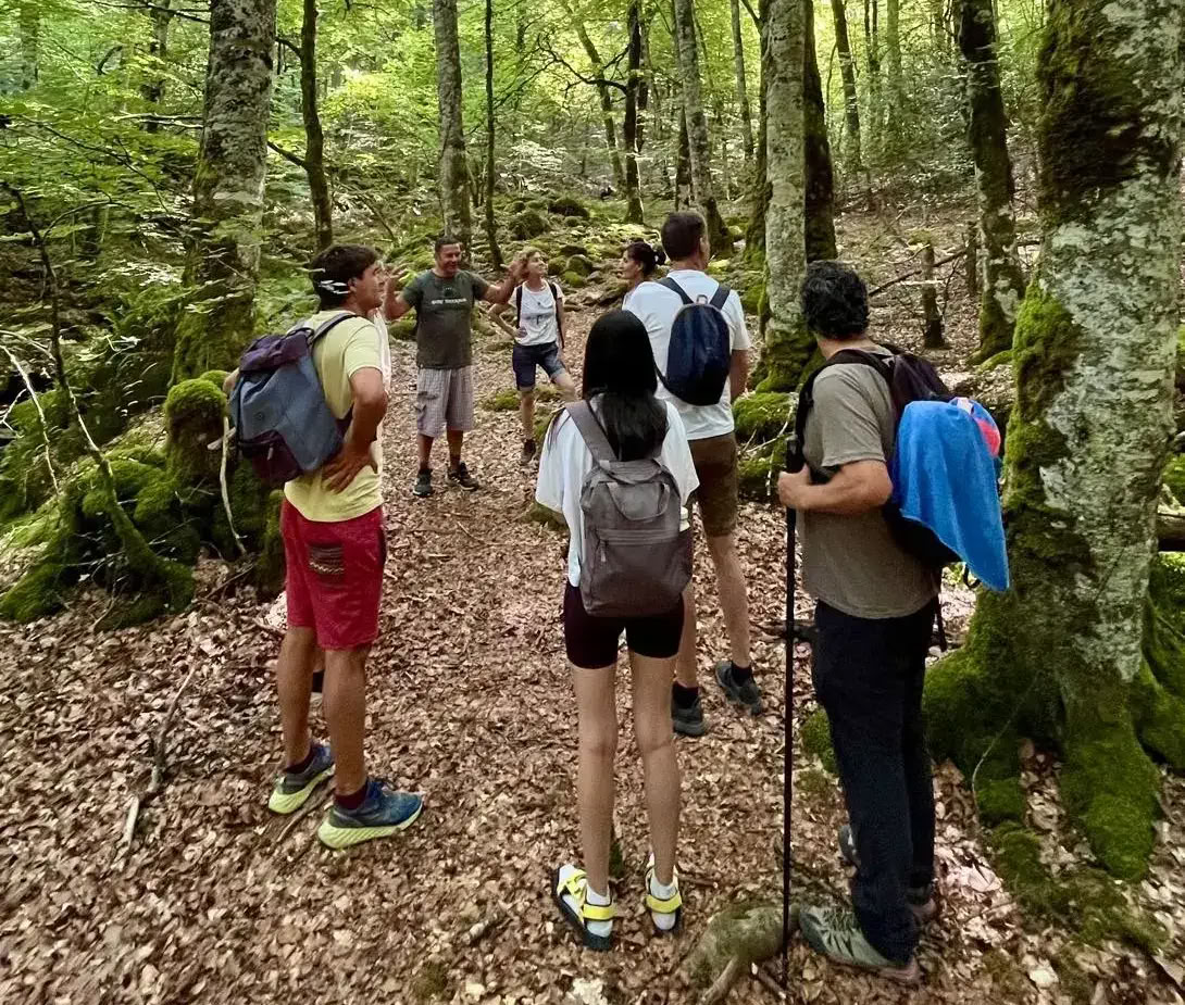 Retraite de yoga et de nature : immersion dans la forêt dorée