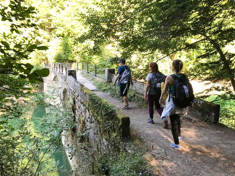 Retraite de yoga pour le jour férié de mai : forêt et renouveau