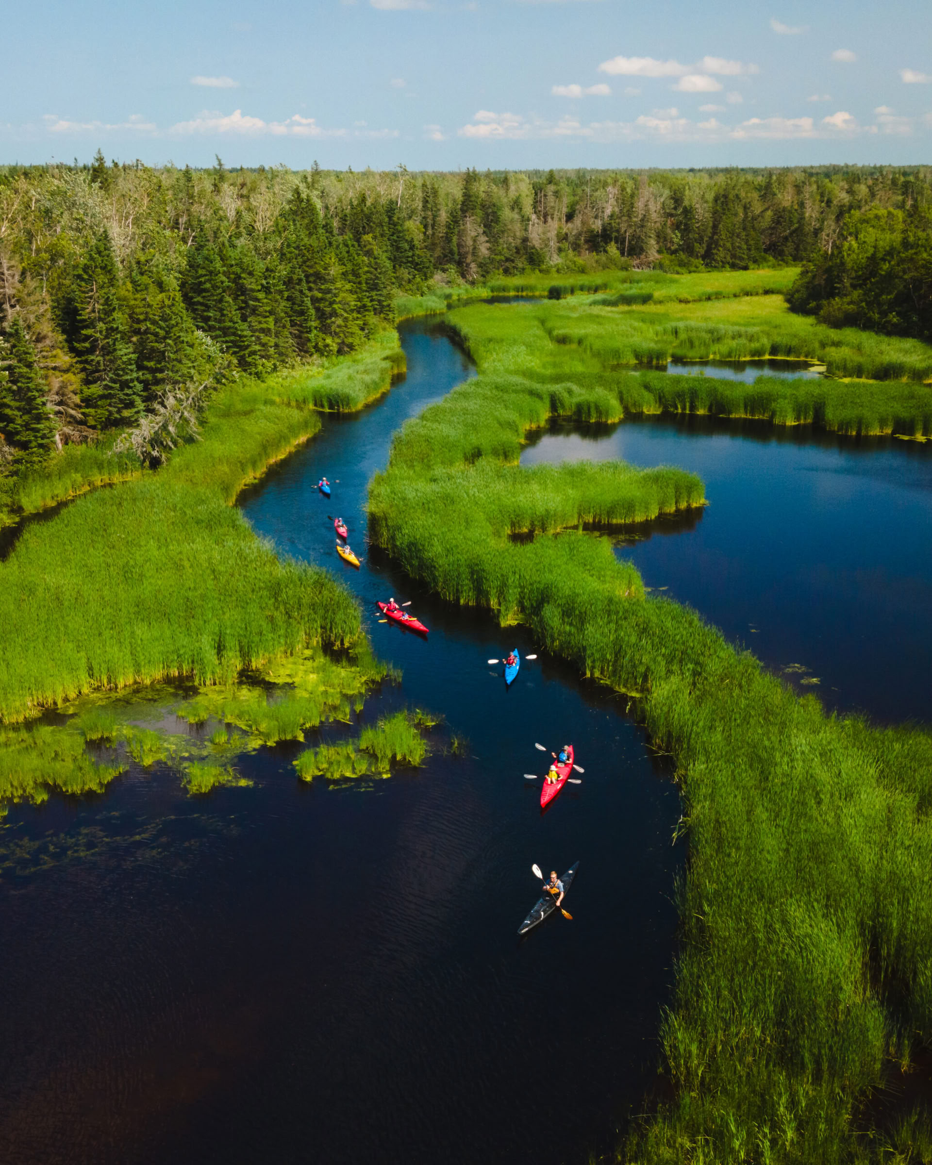 Camp d’été pour adultes - JUILLET