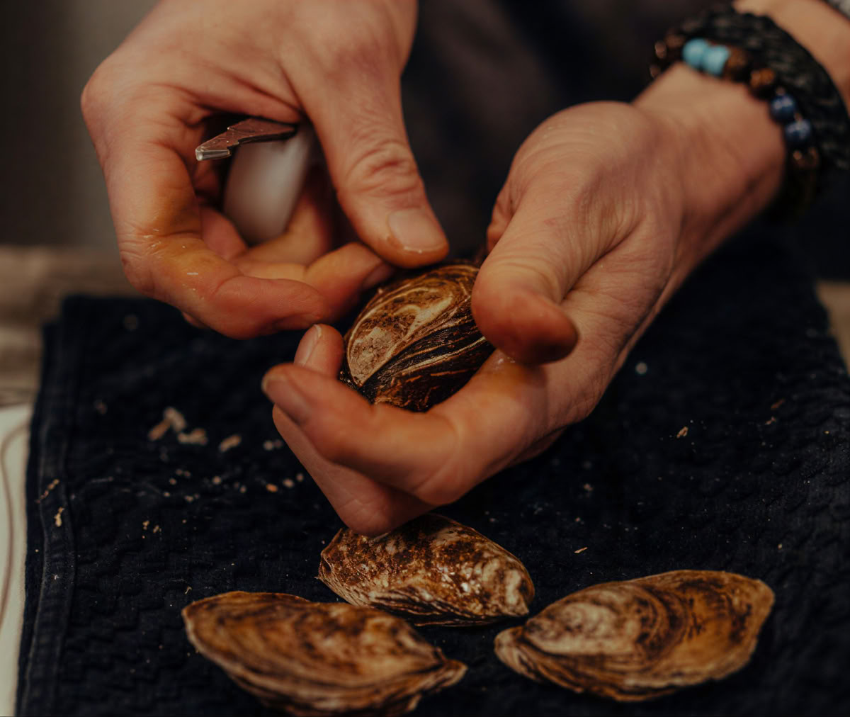 Embrassez la récolte - retraite d’alimentation en pleine conscience