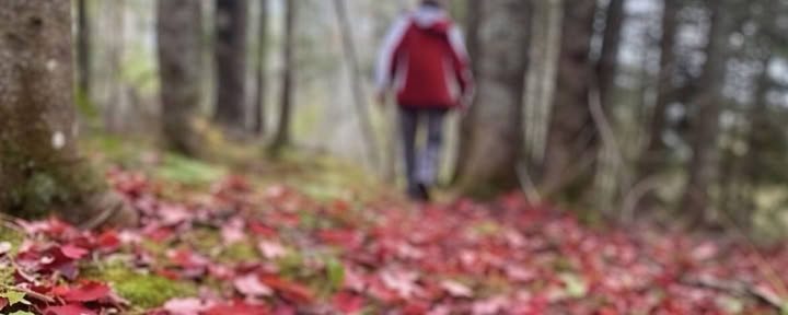 Recentrer votre attention : une retraite de photographie en pleine conscience