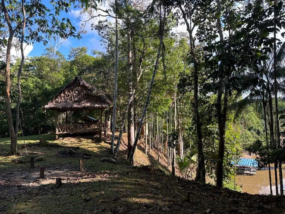 Cérémonie traditionnelle d’ayahuasca