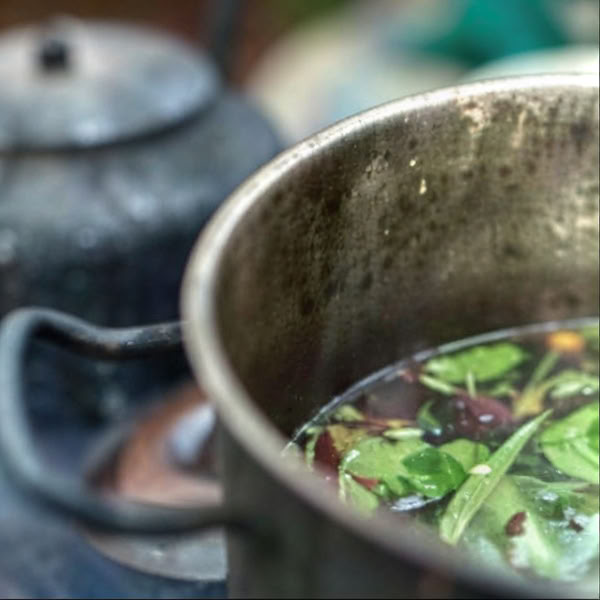Retraite d’Ayahuasca à Iquitos, Pérou