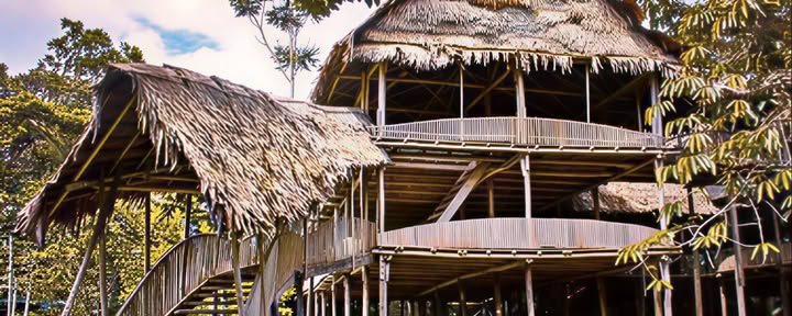Retraite d’ayahuasca de 7 jours
