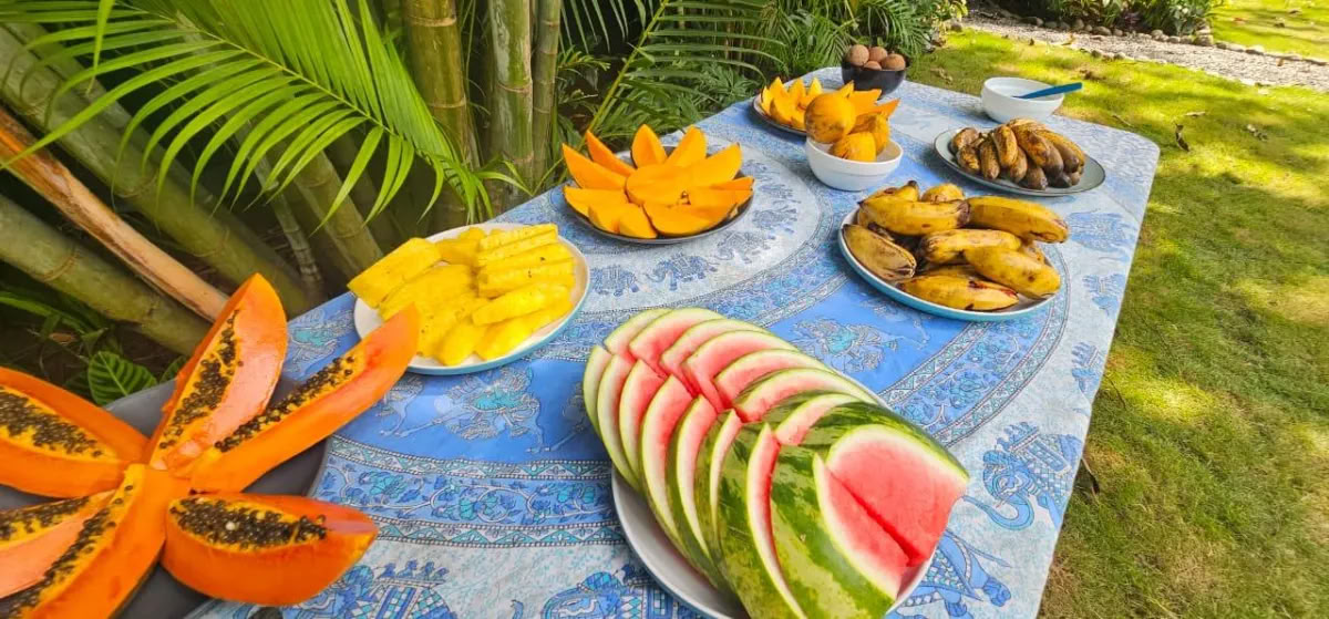 Retraite bien-être Retour au paradis