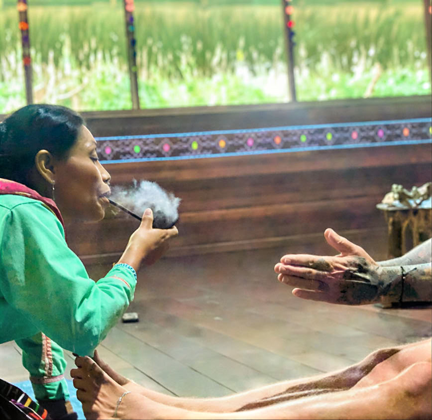Introduction de 5 jours à l’ayahuasca et à la médecine des plantes amazoniennes