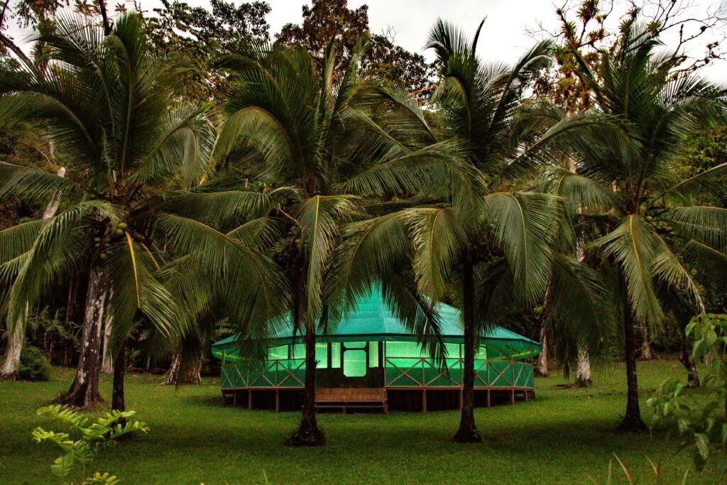 Ateliers d'ayahuasca