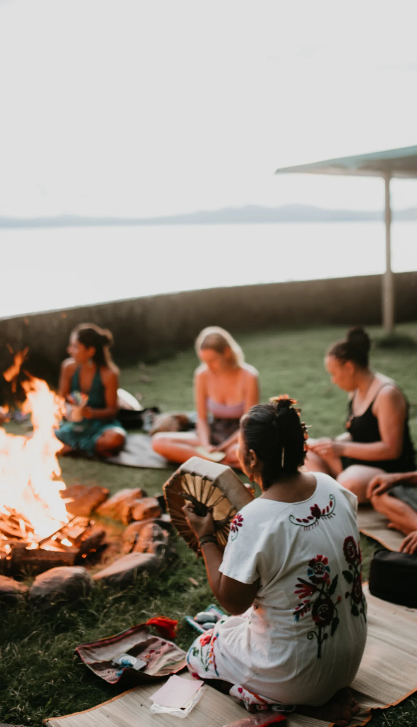 Ateliers d'ayahuasca