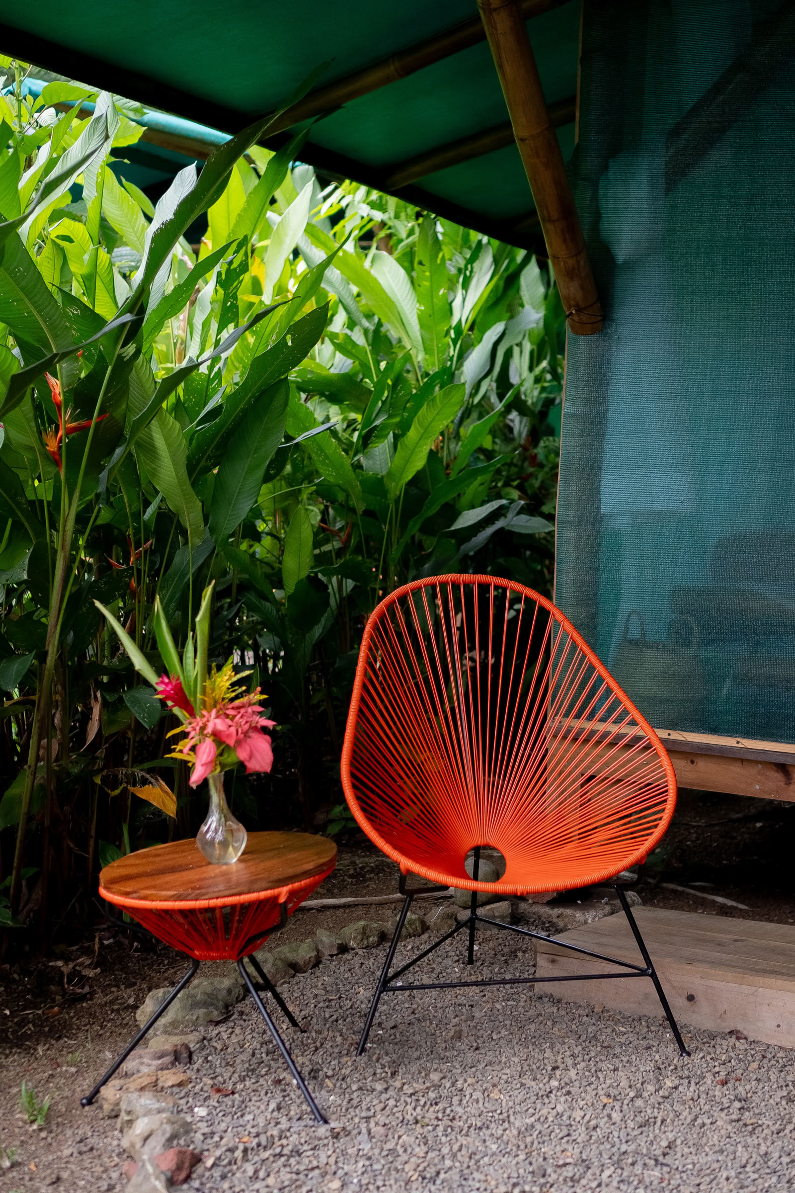 Ateliers d'ayahuasca