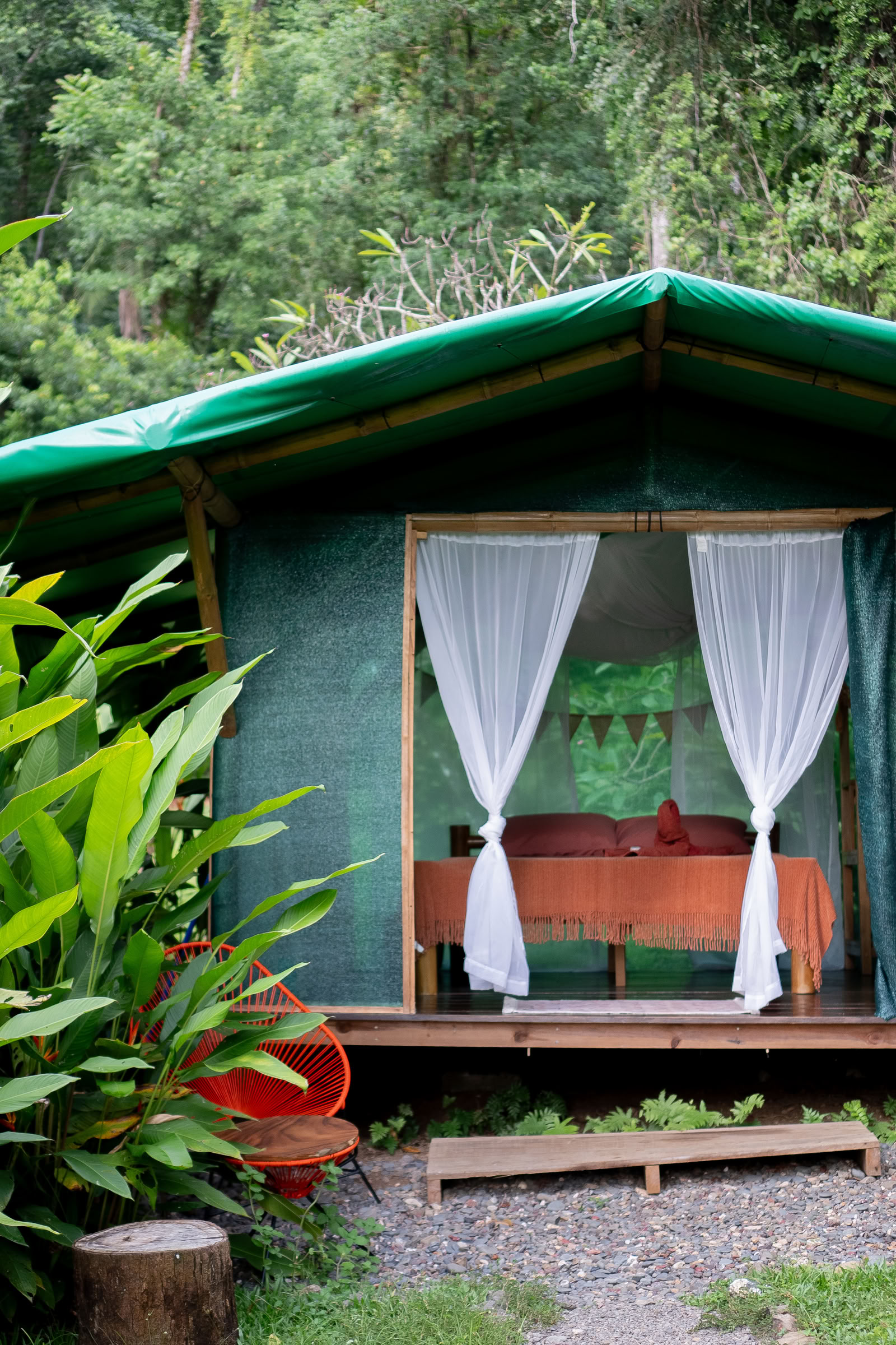Ateliers d'ayahuasca