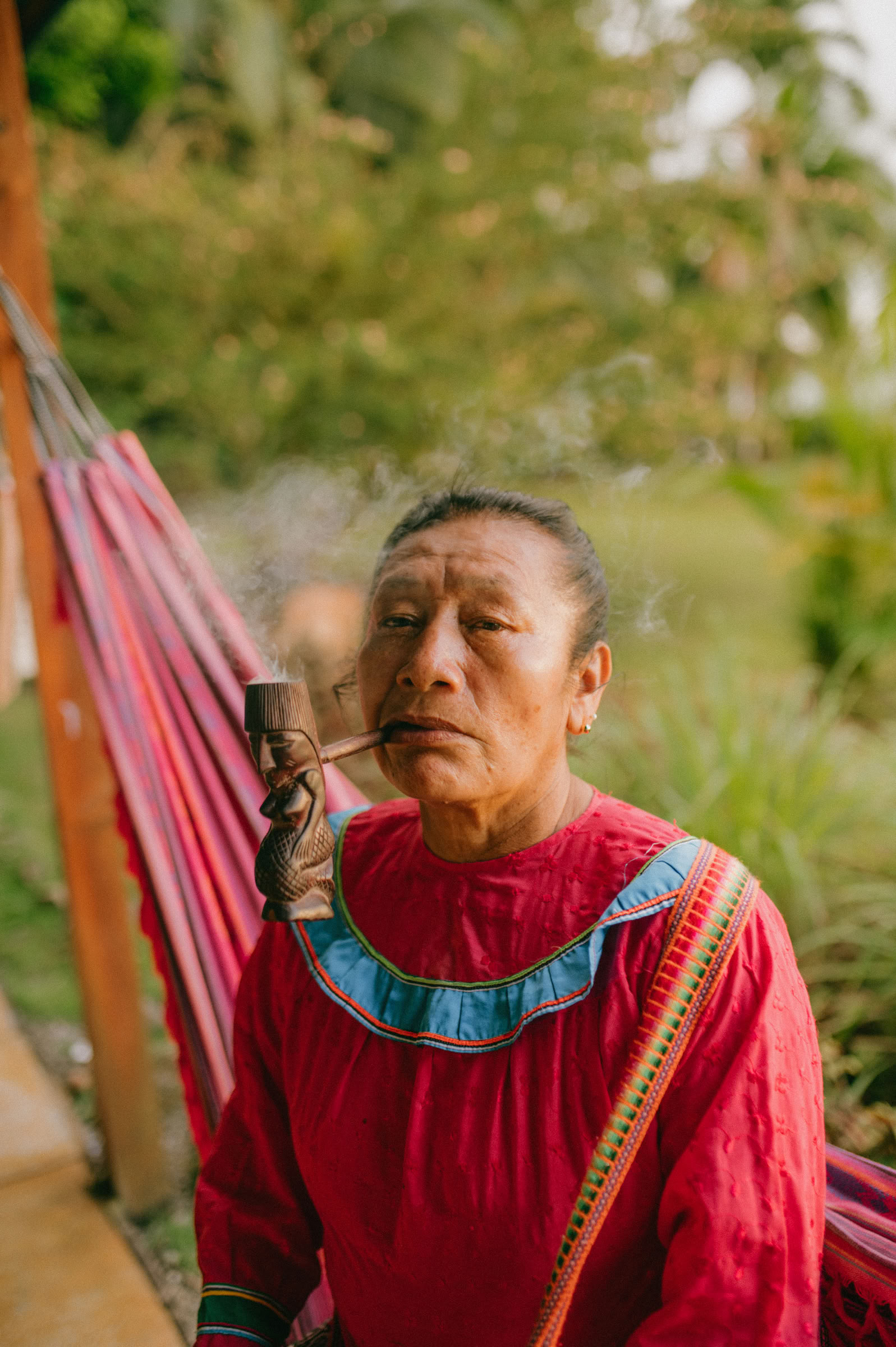 Ateliers d'ayahuasca