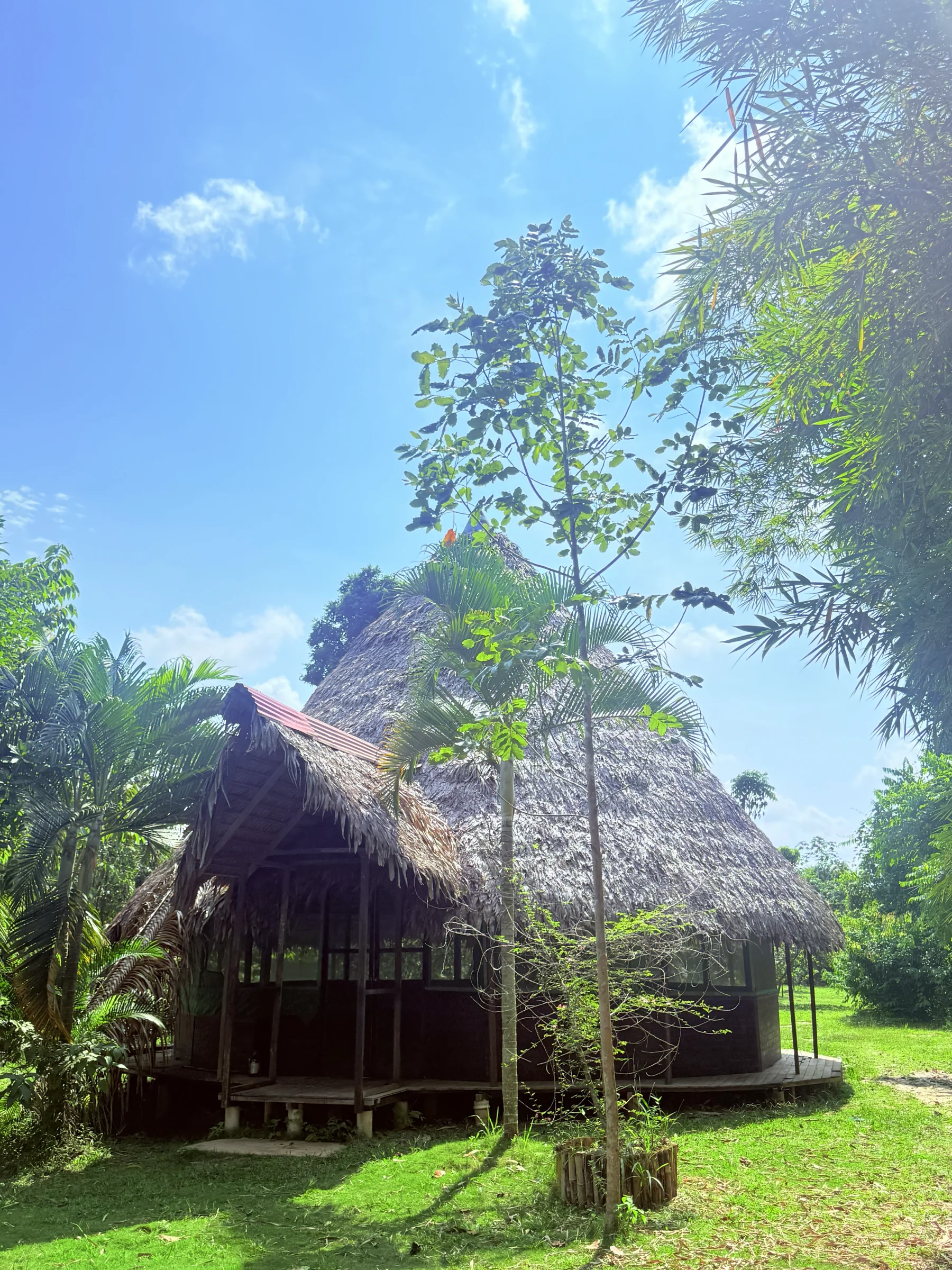 Retraite Ayahuasca de 2 semaines au Pérou