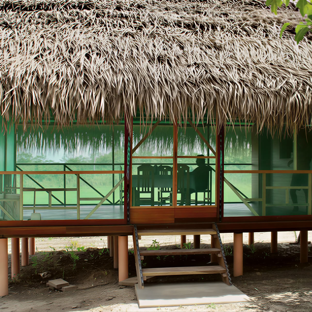 Retraite d'ayahuasca de 3 semaines au Pérou