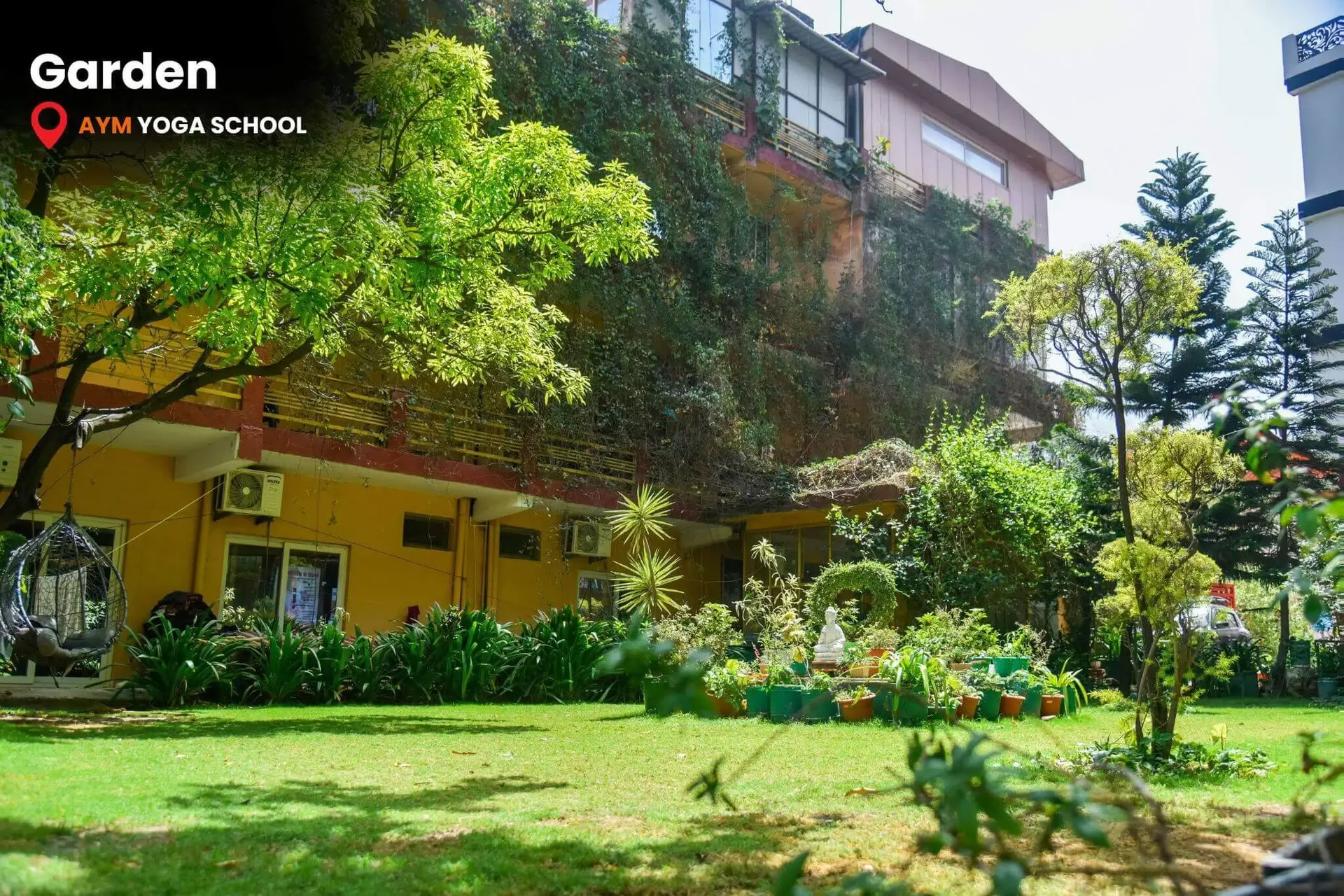 Formation de professeurs de yoga de 100 heures à Goa