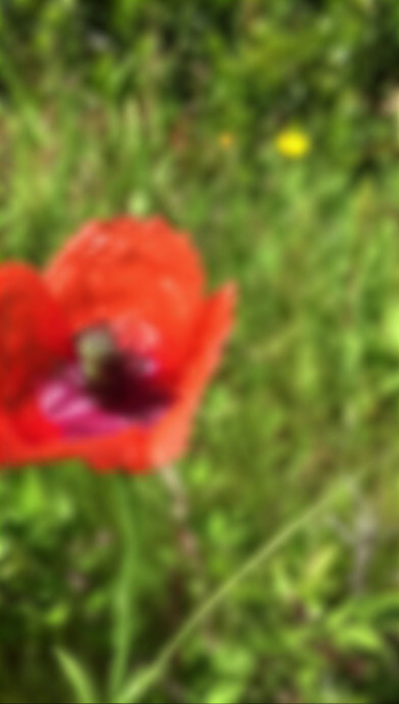 Résidence artistique de 7 à 28 jours