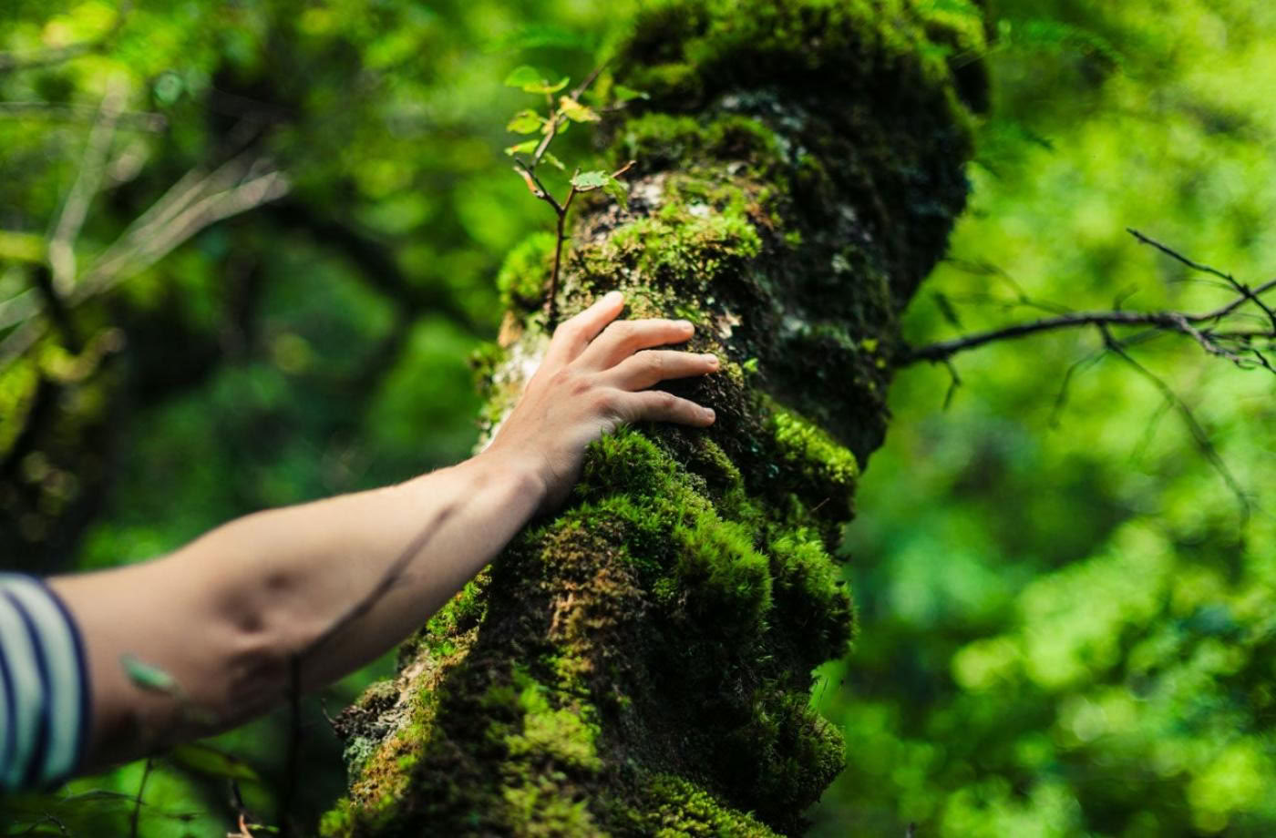 La terre est un remède