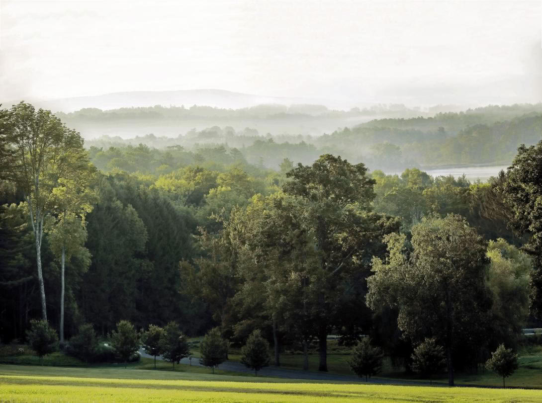 Certification d’accompagnateur en pleine conscience en plein air, niveau 1, communauté forestière