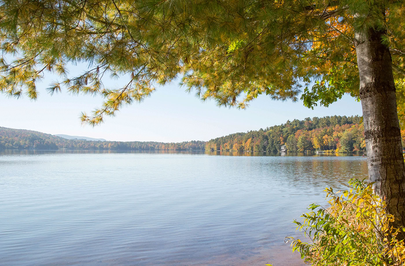 Certification de guide en plein air en pleine conscience, niveau 2 : s’aligner avec la nature