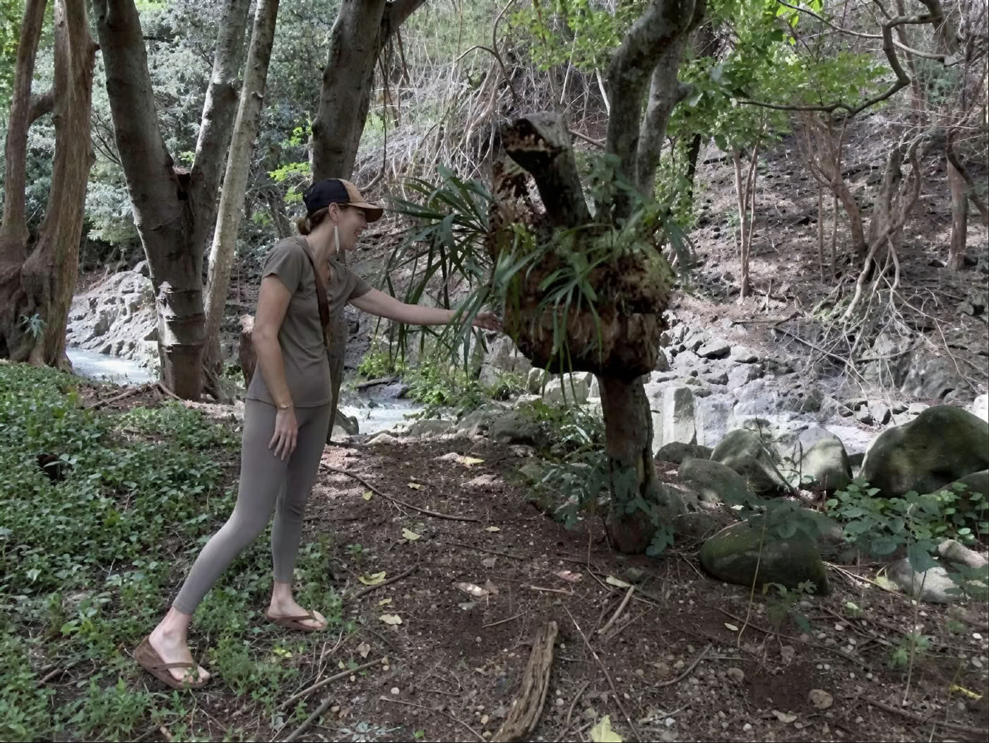 Visite sacrée de la pépinière du jardin
