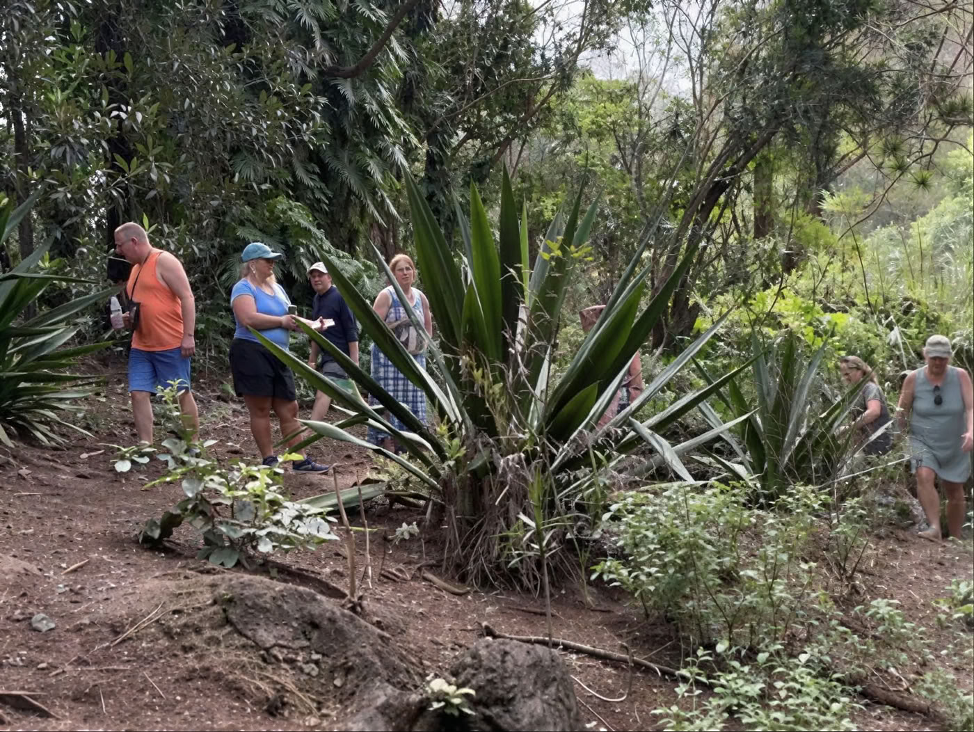 Visite sacrée de la pépinière du jardin