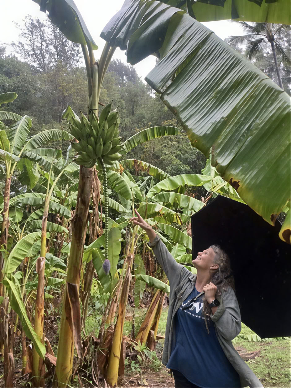 Visite sacrée de la pépinière du jardin