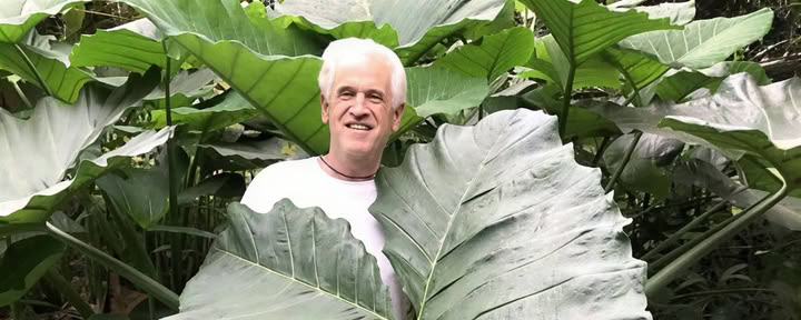 Visite sacrée de la pépinière du jardin