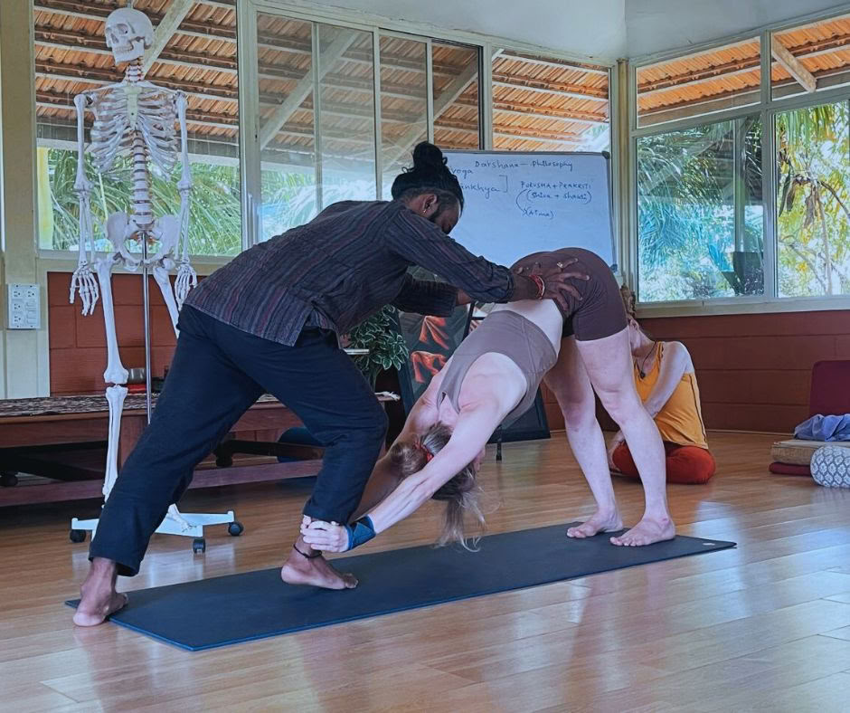 Formation de professeur de yoga Ashtanga - août 2026