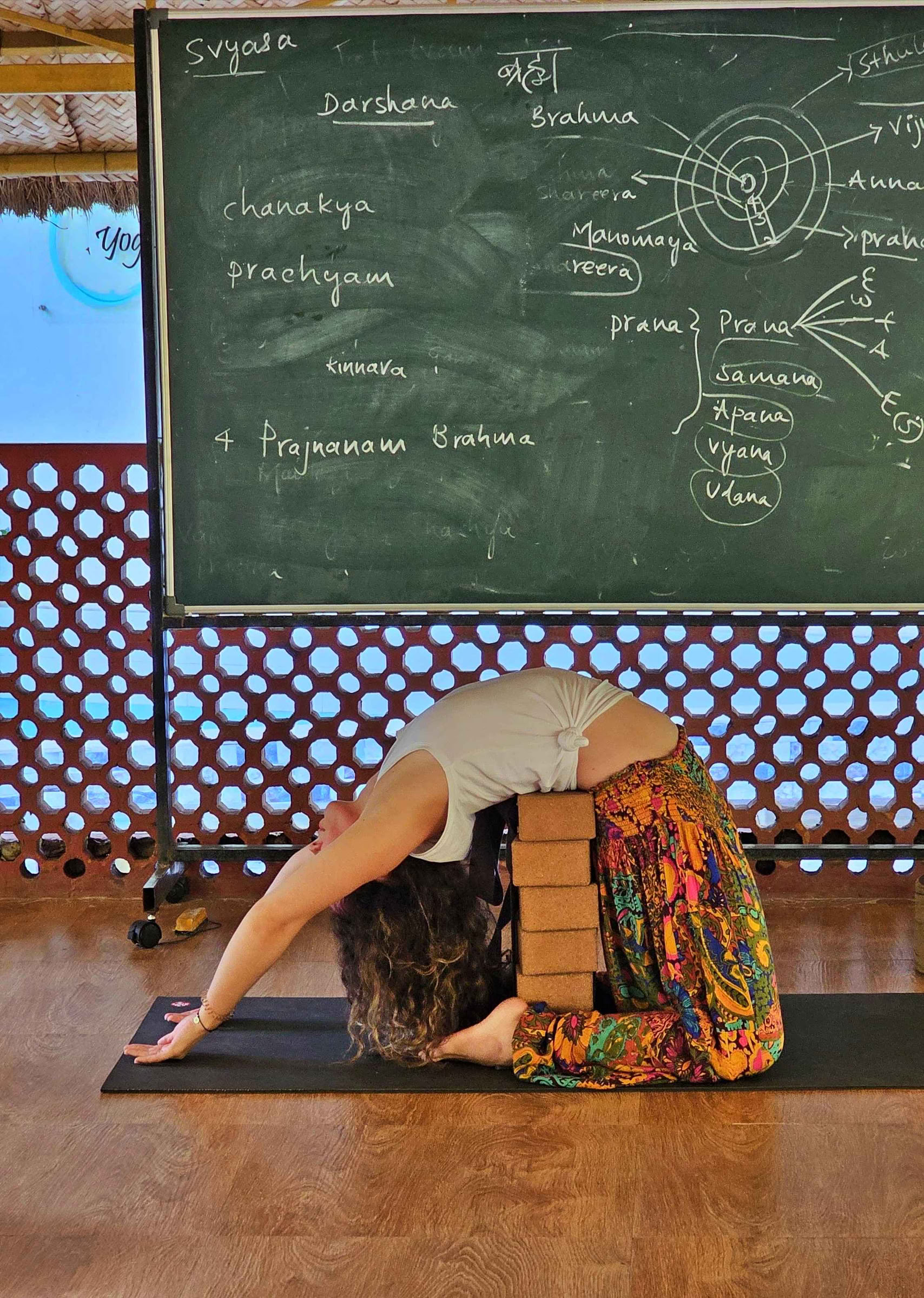 Formation avancée de professeur de yoga de 300 heures - janvier 2027