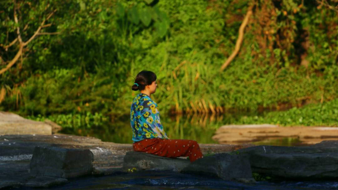 Formation de professeurs de yoga Vinyasa - juillet 2026