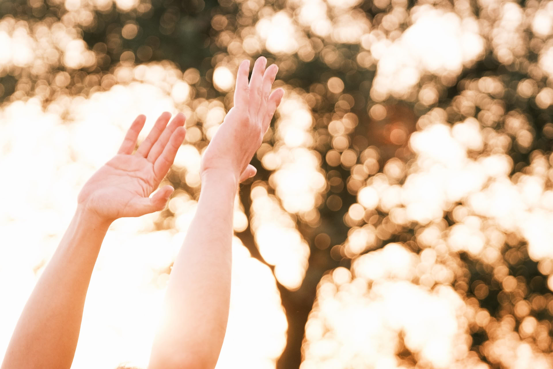 Retraite de Yin Yoga